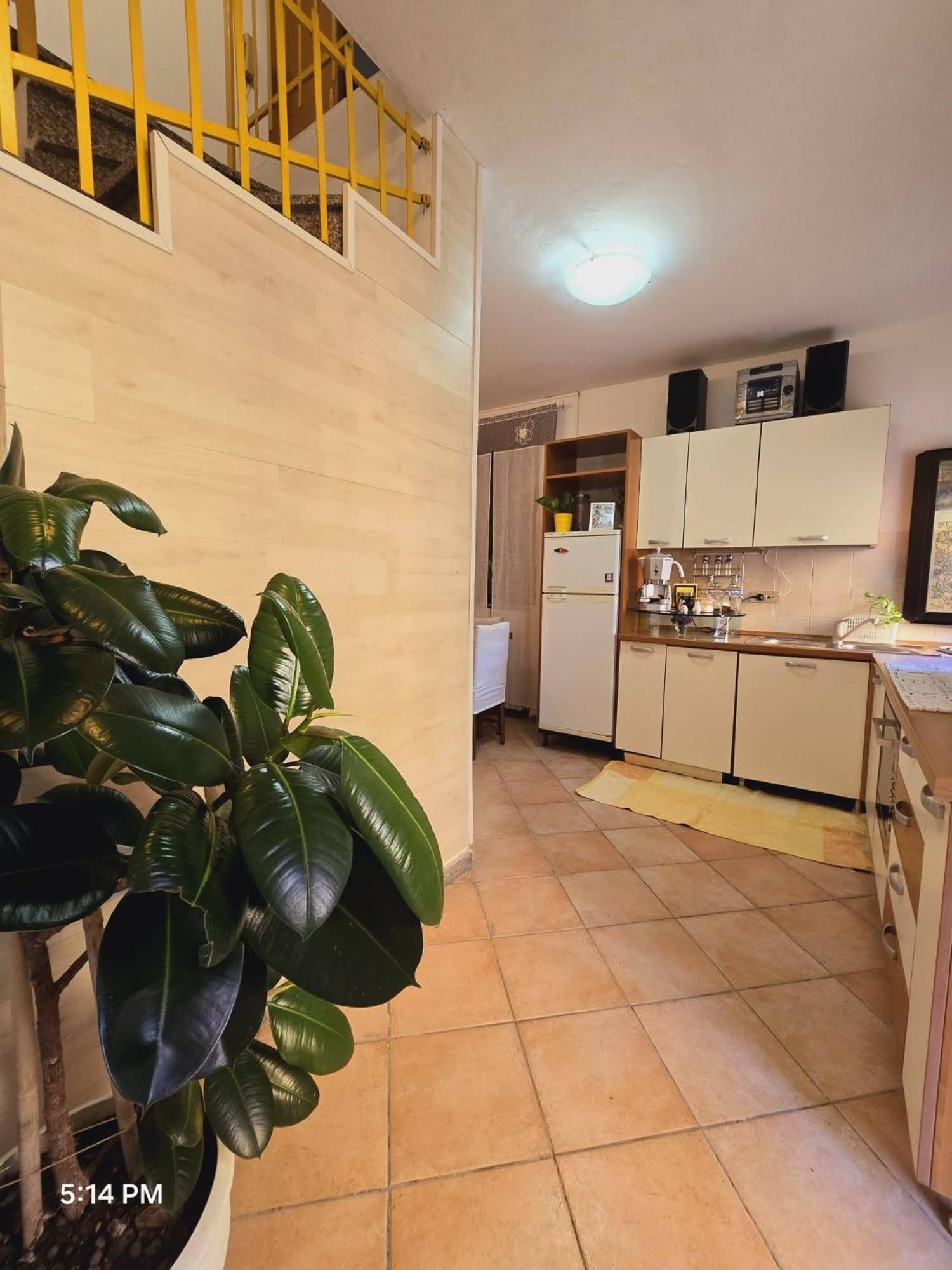 Appartamento Cleo Campalto Exterior foto